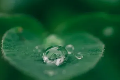 Kiel International distinguishes itself with hundred years of combined experiences 4